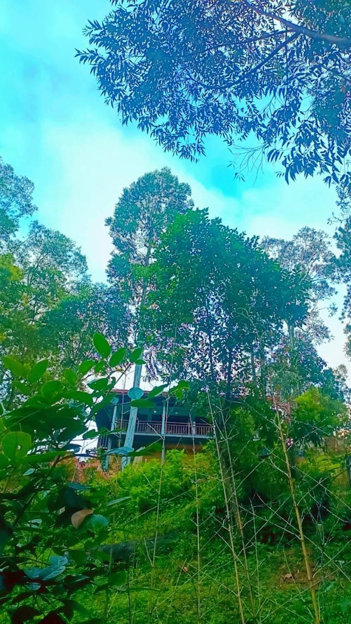 Hotel Ella Hillsite View Exterior foto