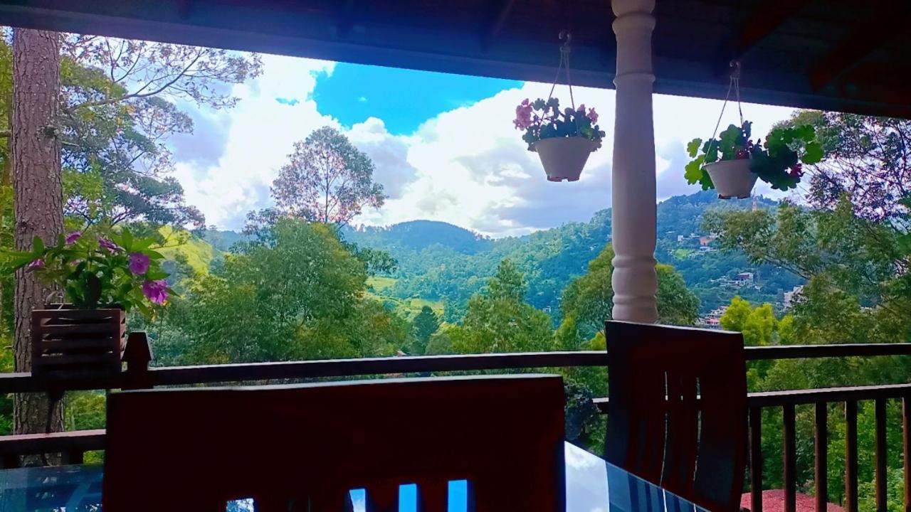 Hotel Ella Hillsite View Habitación foto