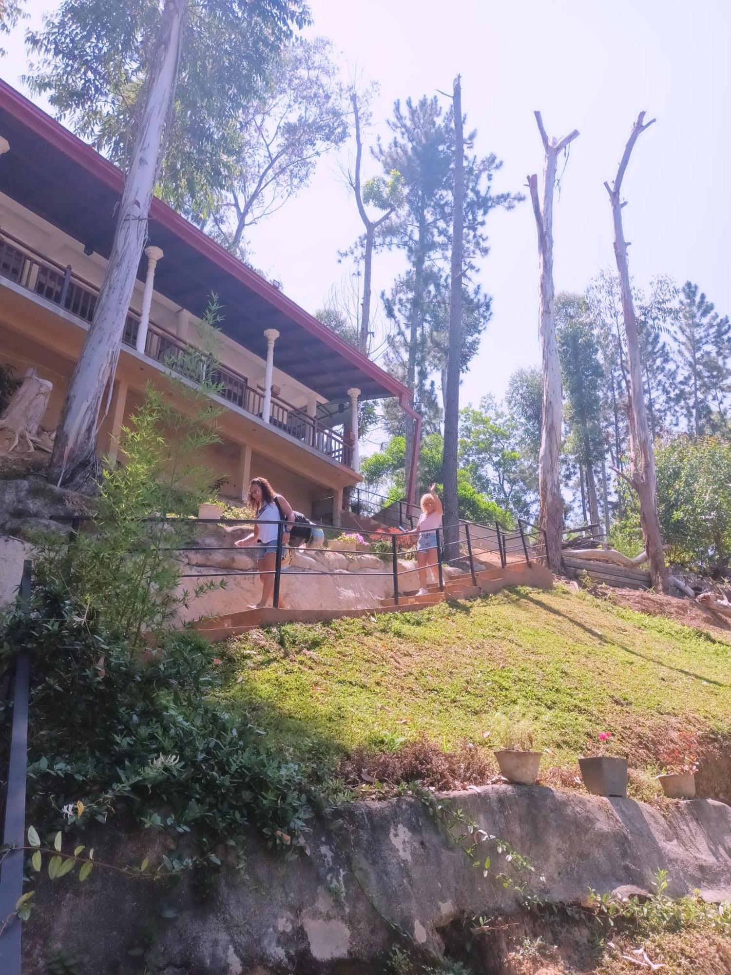 Hotel Ella Hillsite View Exterior foto
